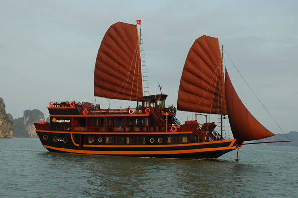 Dragon Cruise