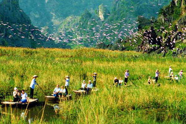 VanLong - Kenh Ga - Ninh Binh ***