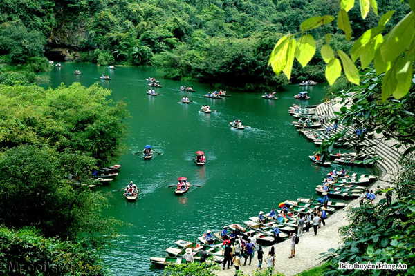 HOA LU - TAM COC/ TRANG AN - MUA CAVE. FULL DAY TOUR